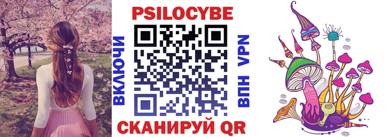 Псилоцибиновые грибы GOLDEN TEACHER  Купить где  Гвардейск 